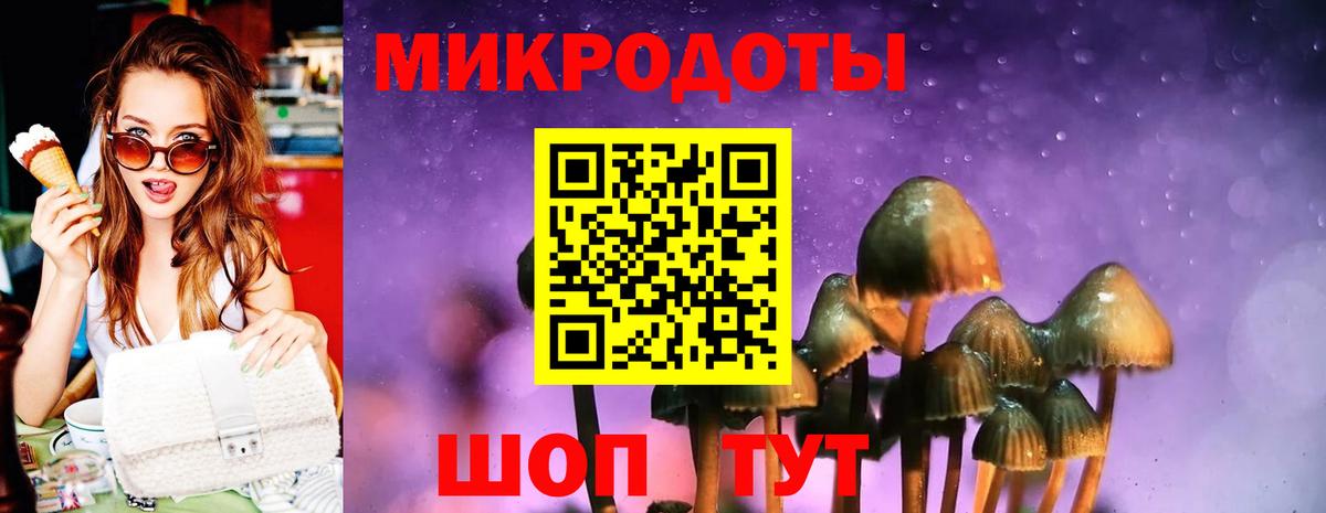 Владимир  Псилоцибиновые грибы мицелий  Вход с VPN 